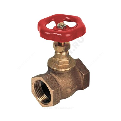 Bronze female BSP gobe valve PN 20 TECOFI - R2148